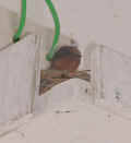 0505_NestPlatform_1.jpg (149135 bytes)