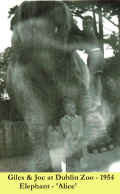 1954_GilesJoc_1.jpg (94149 bytes)
