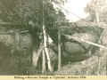 1956c_TempleUplands_1.jpg (471702 bytes)