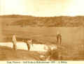 1891_RTomkin_Golf_3.jpg (914440 bytes)