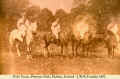 1892_PoloTeam_1.jpg (433171 bytes)