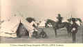 1893_RTomkin_Alines_1.jpg (399387 bytes)