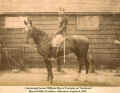 1893_RTomkin_mounted_1.jpg (330141 bytes)
