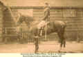 1893_RTomkin_mounted_2.jpg (283235 bytes)