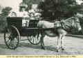 1902c_DonkeyCart_1.jpg (220164 bytes)